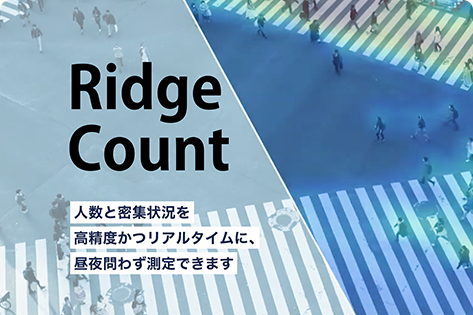 store_application_ridgecount_rdgi